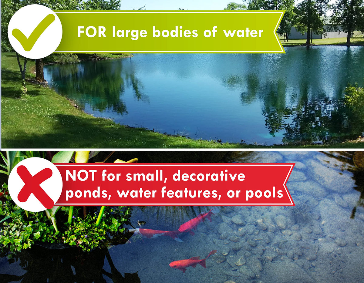 Pond Worx Blue Lake and Pond Dye - 4X Concentrated Liquid Pond Colorant - Treats up to 1 Acre - 1 Quart