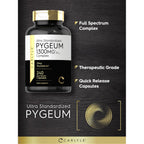 Carlyle Pygeum Supplement | 240 Capsules | with Africanum Bark Extract