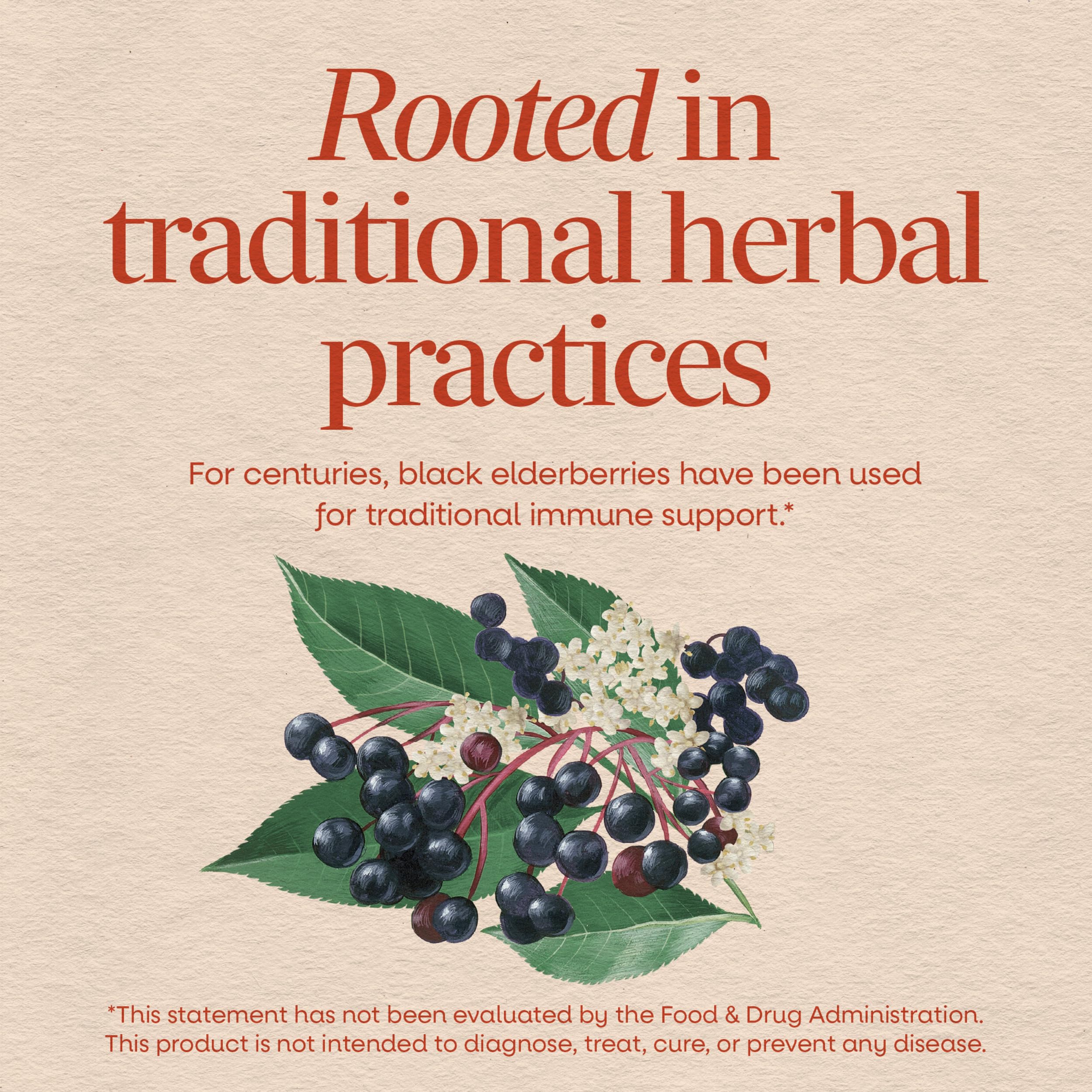 Nature's Way Black Elderberry Capsules, 1,150 mg per Serving, Vegan, 100 ct | Traditional Immune Support Supplement with Elderberry and Elderflower*, Plant-Powered Vegan Capsules