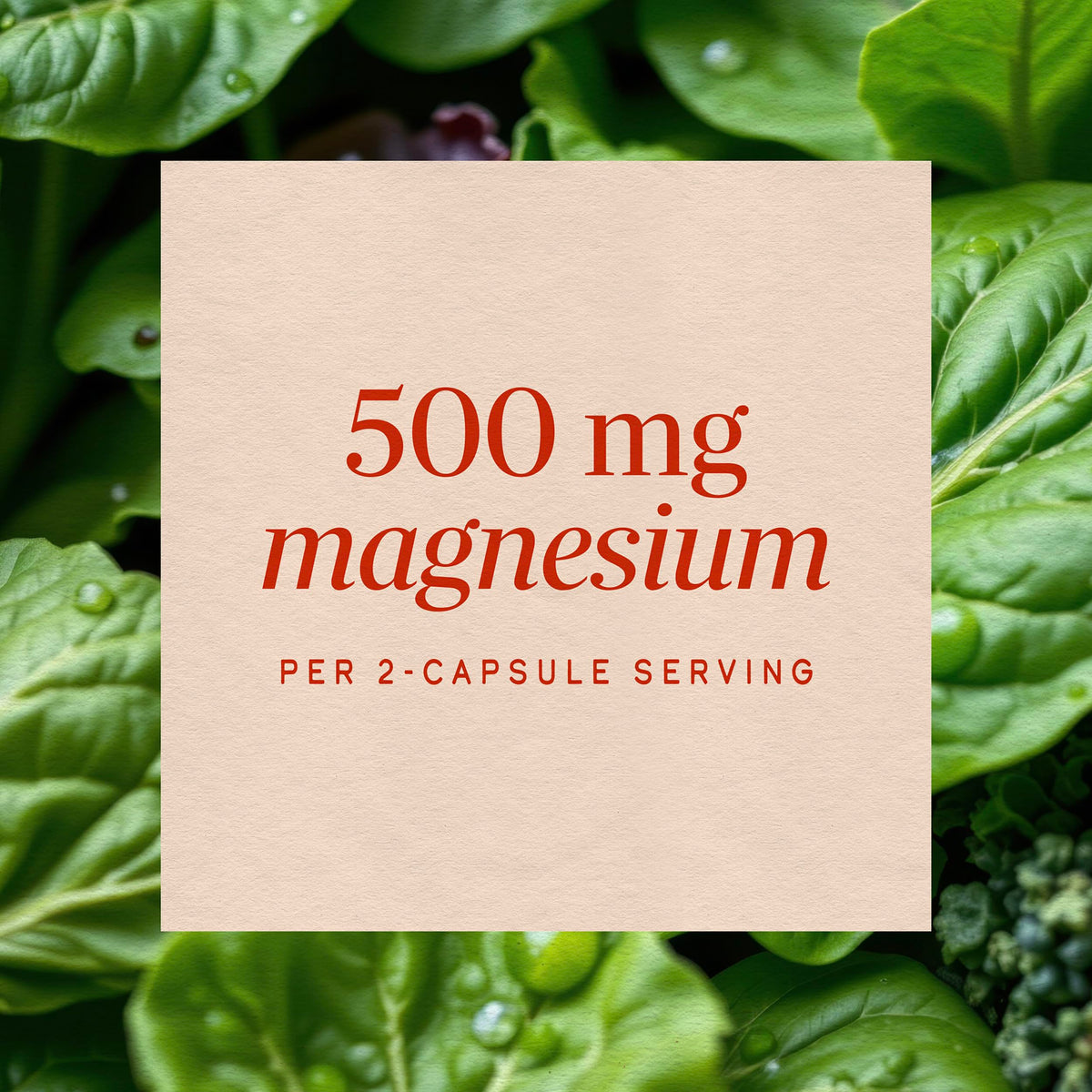 Nature's Way Magnesium Complex, Supports Muscle Relaxation*, 100 ct