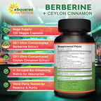 Berberine with Ceylon Cinnamon Supplement - 120 Capsules - 1200mg/Serving | Max Strength Berberine HCl Plus Complex - Premium Pure Extract Pills Alternative to Gummies, Drops & Patches
