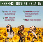 Perfect Bovine Gelatin 100% Grass Fed Beef Gelatin Powder (Cooked Collagen), Brazilian Pasture Raised ~ Large 23.3oz. 60 Serving Container ~ No Fillers, GMOs or Pesticides
