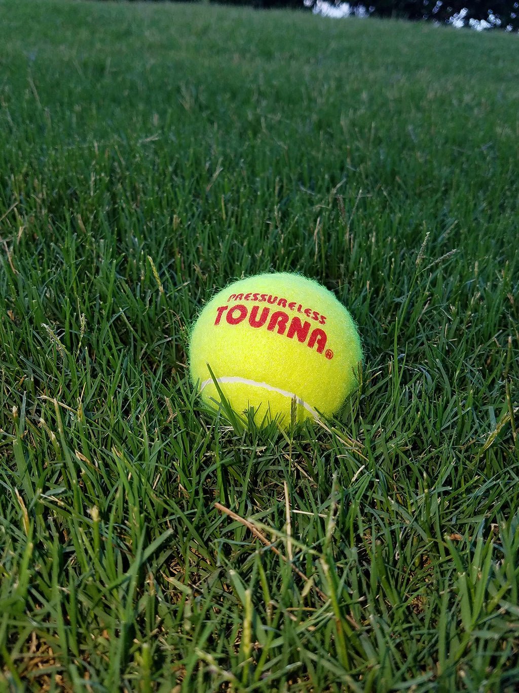 Tourna Pressureless Tennis Ball 60 Count (Pack of 1),Yellow