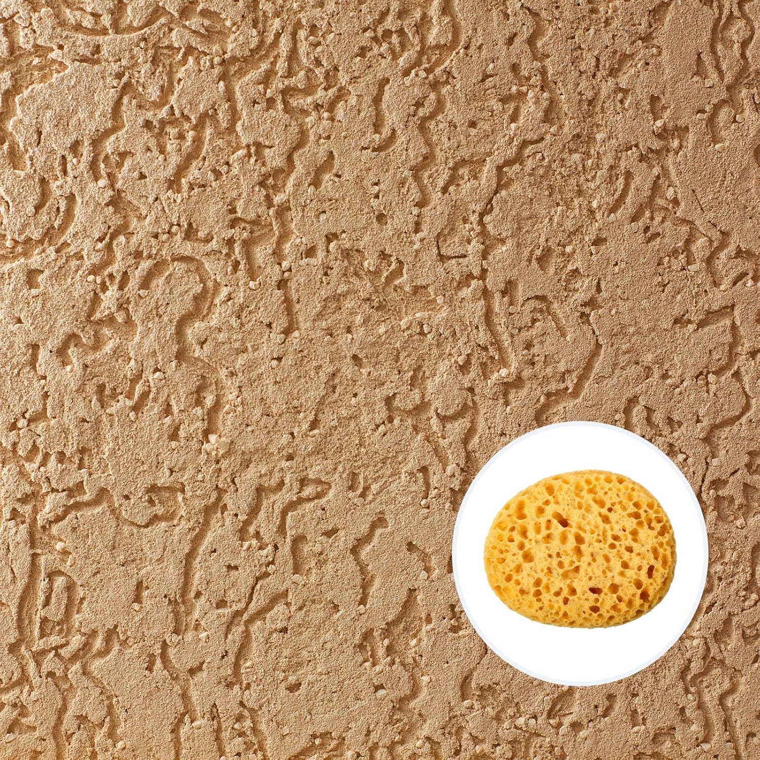Buy now Patelai Knockdown Texture Sponge Drywall Wall Patch Ceiling Texture Sponge Home Decor for Repair DIY Painting Ceiling(2 Pieces,13 x 15 x 6 cm) at indiglob india