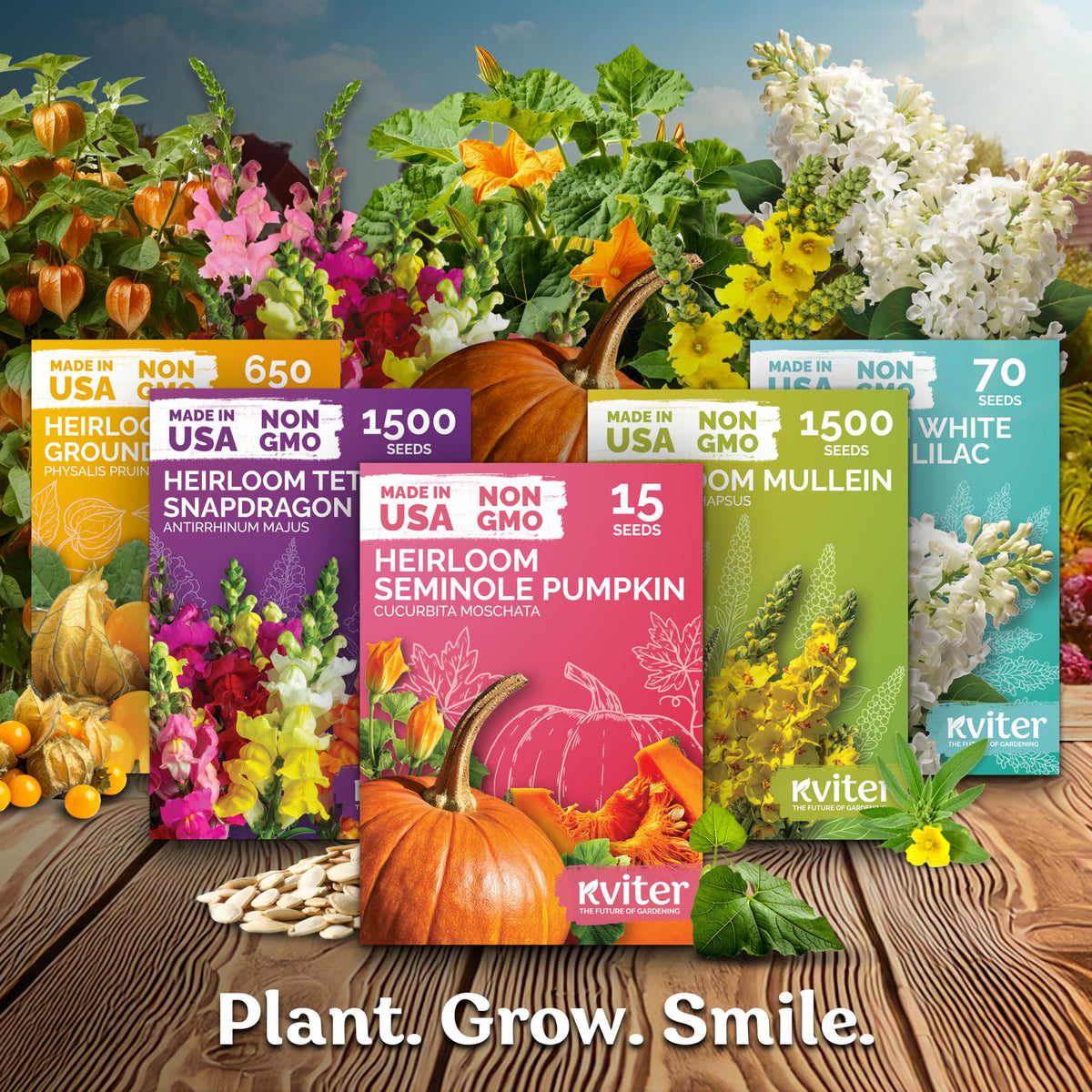 125 Autumn Beauty Mix Sunflower Heirloom Flower Seeds, Helianthus Annuus