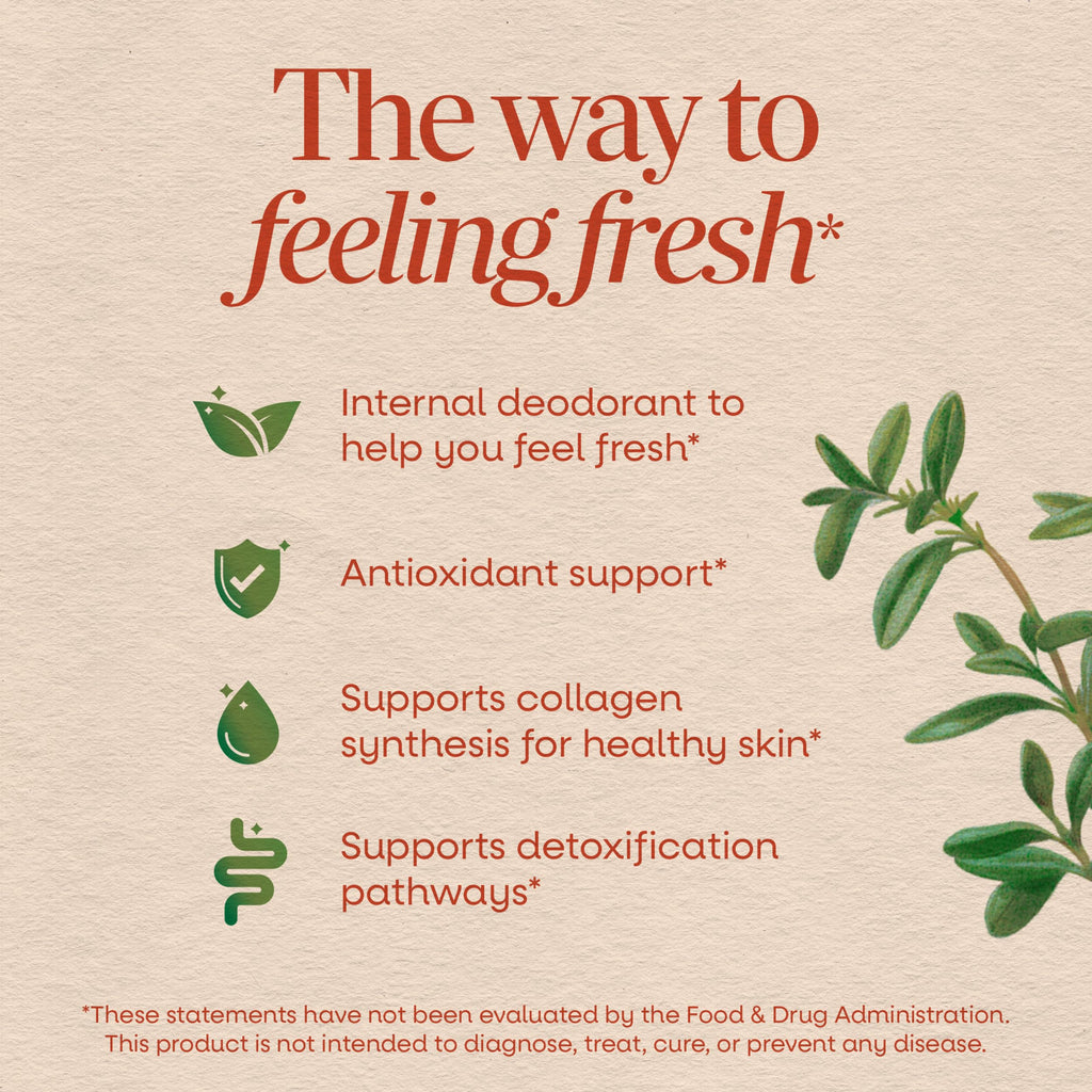 Nature's Way Chlorofresh Liquid Chlorophyll, Chlorophyllin Copper Complex, Internal Deodorant Supplement, Supports Healthy Skin and Detox Pathways*, Mint Flavored, 16 fl oz