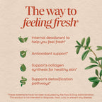 Nature's Way Chlorofresh Liquid Chlorophyll, Chlorophyllin Copper Complex, Internal Deodorant Supplement, Supports Healthy Skin and Detox Pathways*, Mint Flavored, 16 fl oz