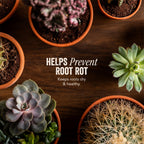Java Cactus & Succulent Soil: A Gritty, Fast‑Draining, Peat-Free, Ready‑to‑Use Potting Mix for Cacti & Succulents -Keeps Roots Well Aerated for Indoor Pots & Plants. USA Made (6QT)