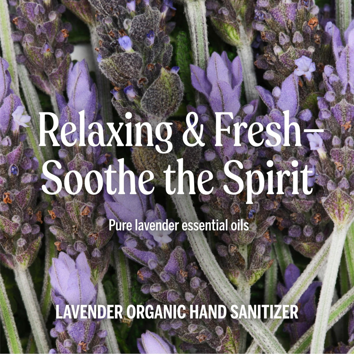 Dr. Bronner's - Organic Hand Sanitizer Spray (Lavender, 2 Ounce, 2-Pack) - Simple and Effective Formula, Cleanses & Sanitizes, No Harsh Chemicals, Moisturizes and Cleans Hands
