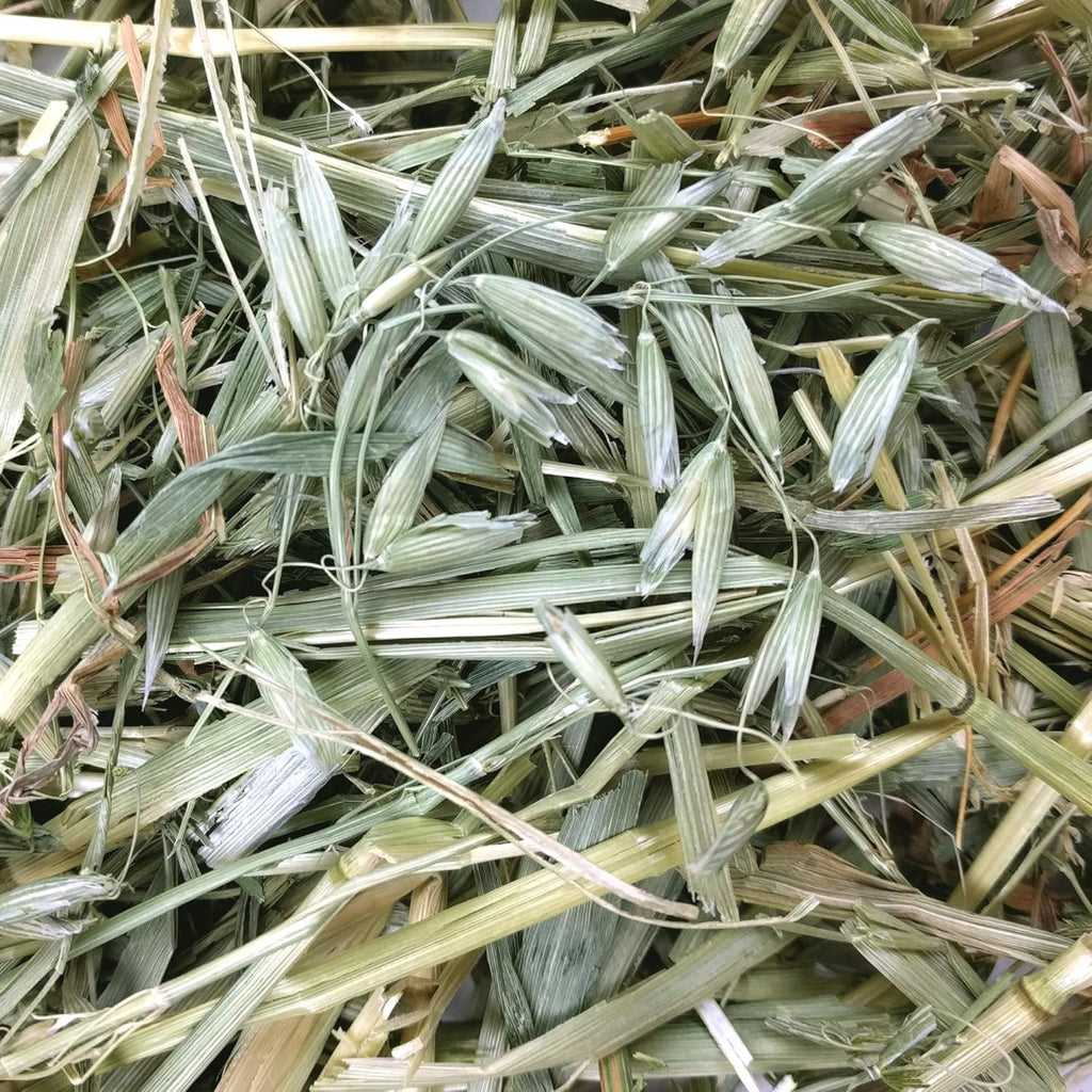Buy now Oxbow Oat Hay, Rabbit & Guinea Pig Hay, High Fiber for Digestive Health, Grown in the USA, Veterinarian Recommended Small Pet Supplies, for Rabbits, Guinea Pigs, & Chinchillas, 15 oz. at indiglob india