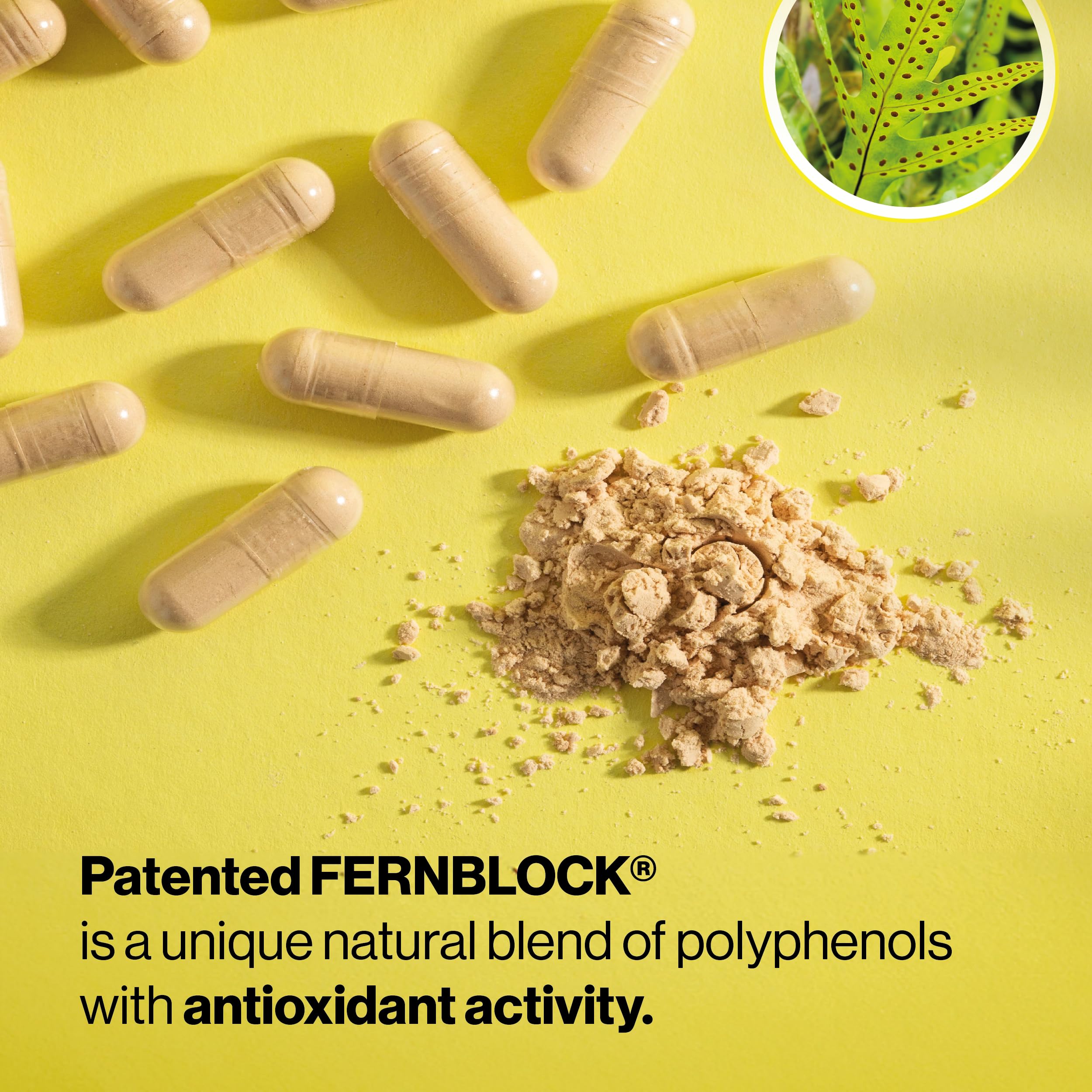Heliocare Supplement with Polypodium Leucotomos Extract 240mg, 60 Capsules | Patented Skin Health Daily Antioxidant Clinically Proven to Fight Sun Damage & Reduce Photoaging, Dermatologist Formulated