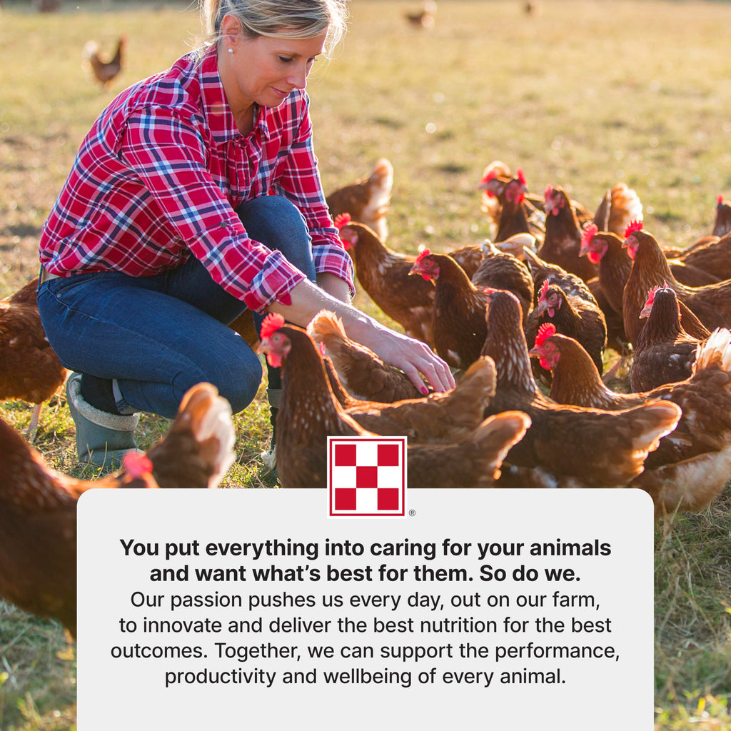 Purina Start & Grow | Nutritionally Complete Medicated Chick Feed Crumbles | 25 Pound (25 lb.) Bag