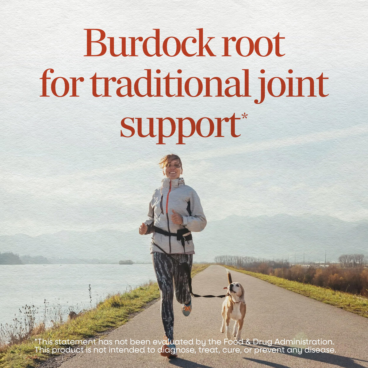 Nature's Way Burdock Root, Capsules for Traditional Joint Support*, 100 ct