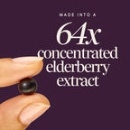 Nature's Way Sambucus Elderberry Gummies for Immune Support* Ages 4+, 60 ct | Immune Gummy with Black Elderberry Extract, Vitamin C, D3, Zinc, and Superfood Antioxidants*, Adults & Kids Ages 4+