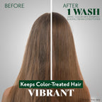 Buy now Herbatint Color Safe Shampoo for Color-Treated, Normal Hair - Aloe Vera to Rebalance, Strengthen, & Add Shine - No Parabens, Silicones & Gluten - 8.8 Fl Oz at indiglob india