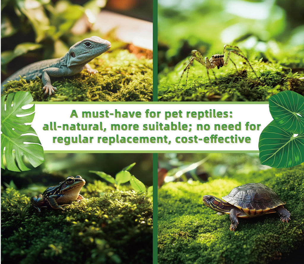 LUCKYRUNES Live Moss for Terrarium Bedding & Reptile Enclosures