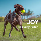GoSports Pets 24 Inch Dog Ball Launcher - Ergonomic Tennis Ball Thrower for Dogs 20+ lbs - Includes Tosser and (2) 2.5 Inch Balls for Fetch