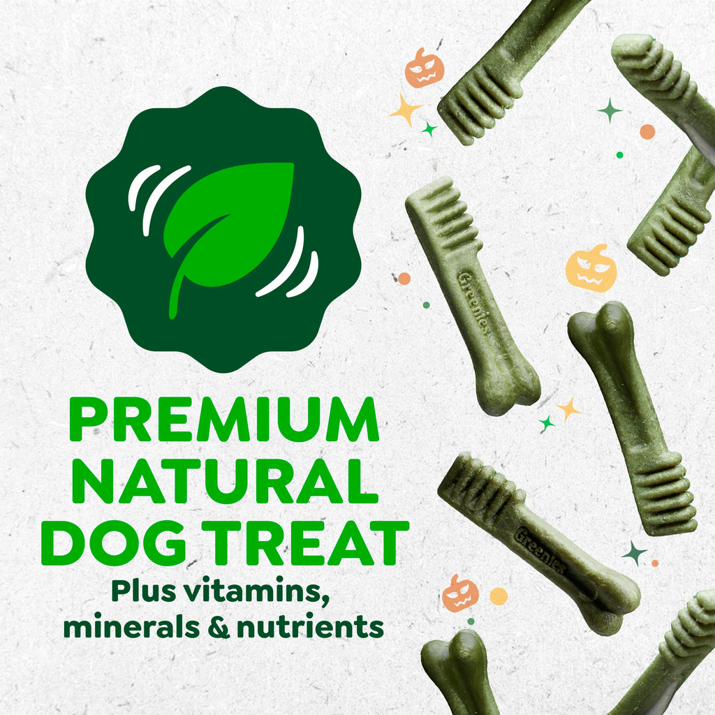 Greenies Teenie Natural Dental Dog Treats, Pumpkin Spice Flavor, 43 Count