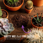 Java Cactus & Succulent Soil: A Gritty, Fast‑Draining, Peat-Free, Ready‑to‑Use Potting Mix for Cacti & Succulents -Keeps Roots Well Aerated for Indoor Pots & Plants. USA Made (6QT)