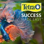Tetra No More Algae Tablets for Aquariums, 8 Count