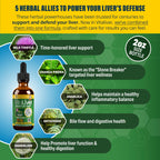 VitaLiver - Liver Health Supplement - Support Liver Cleanse & Detox - Liquid Delivery for Absorption - Milk Thistle, Artichoke, Chanca Piedra, Dandelion & More!