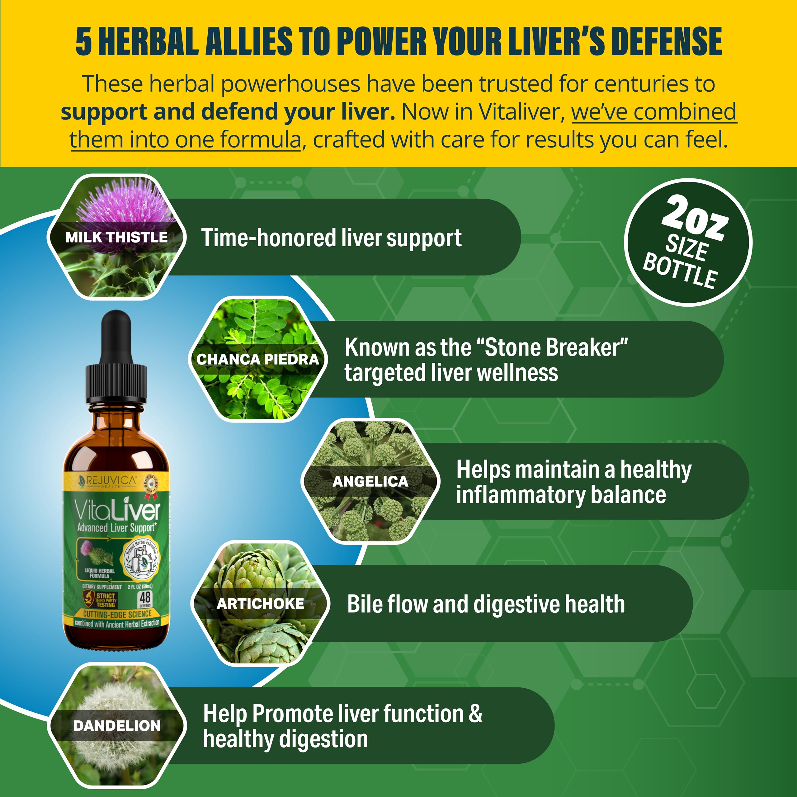 VitaLiver - Liver Health Supplement - Support Liver Cleanse & Detox - Liquid Delivery for Absorption - Milk Thistle, Artichoke, Chanca Piedra, Dandelion & More!