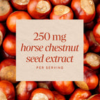 Nature's Way Horse Chestnut Extract, Supports Healthy Leg Veins*, 90 ct | Premium Extract, Standardized to 20% Aescin, Non-GMO Project Verified, Gluten Free, Vegan, 90 Capsules