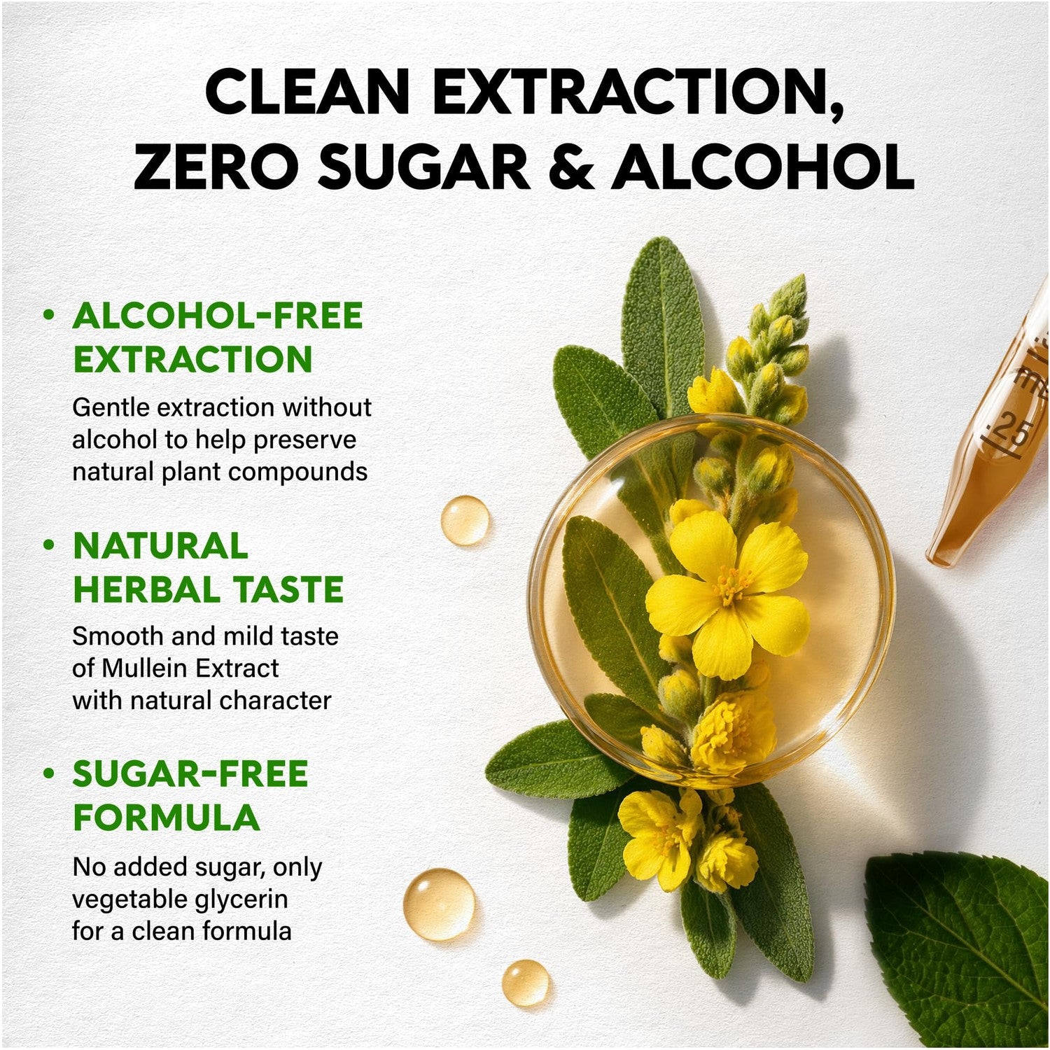 Mullein Drops for Lungs - USDA Organic Mullein Leaf Extract Liquid - 2 oz | Respiratory Health Support for Women & Men - Lung & Bronchial Cleanse for Smokers - As Tincture, Tea, Pills