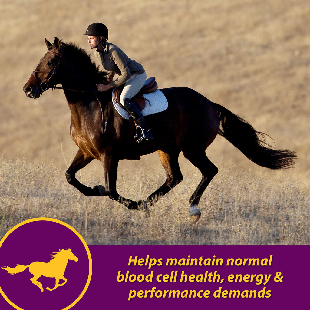 Horse Health Red Cell, Liquid Iron-Mineral Supplement 1 Qt, 16-Day Supply