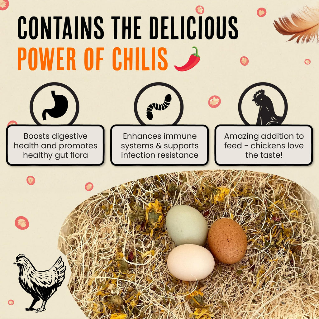 Roosty's Chicken Nesting Herbs Chili Mix, Coop Refresher, 16oz