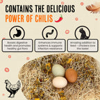 Roosty's Chicken Nesting Herbs Chili Mix, Coop Refresher, 16oz