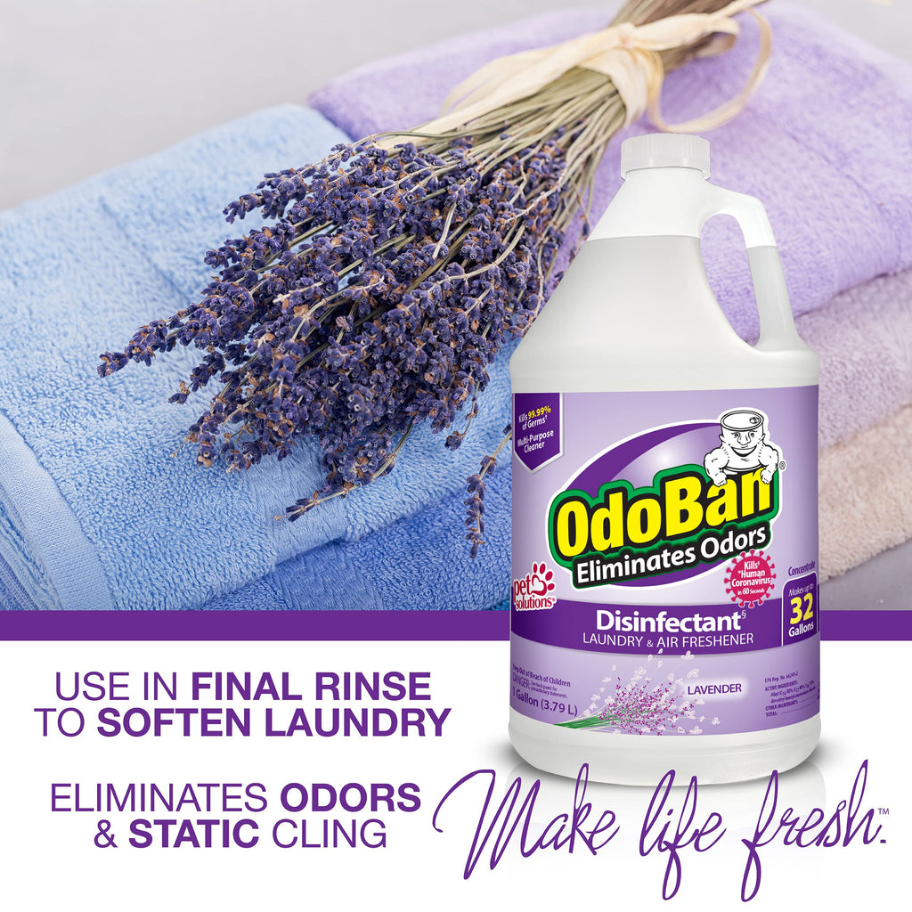 OdoBan Disinfectant Concentrate and Odor Eliminator, Made in the USA, Lavender Scent, 1 Gallon