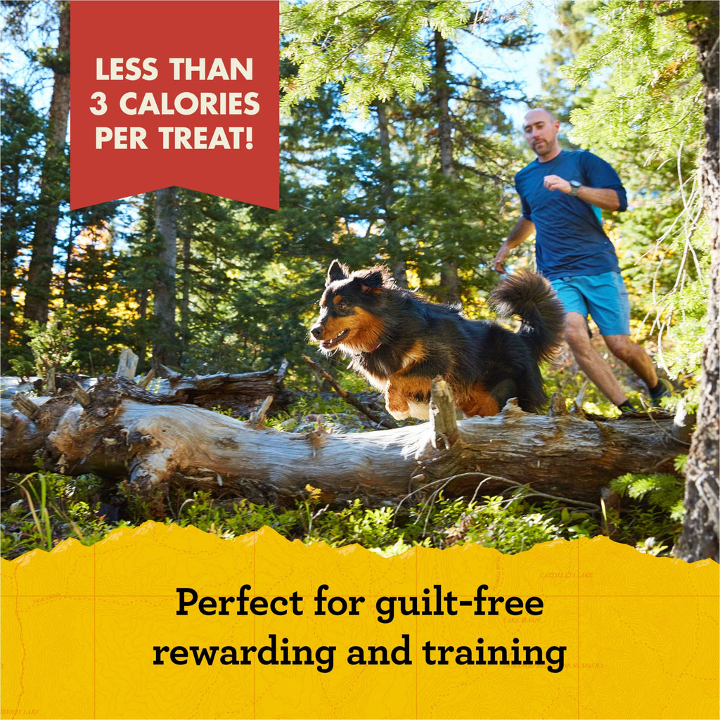 Zuke's Mini Naturals Dog Training Treats, Soft Mini Dog Treats with Vitamins & Minerals, Made for All Breed Sizes Chicken, 16 Ounce (Pack of 2)