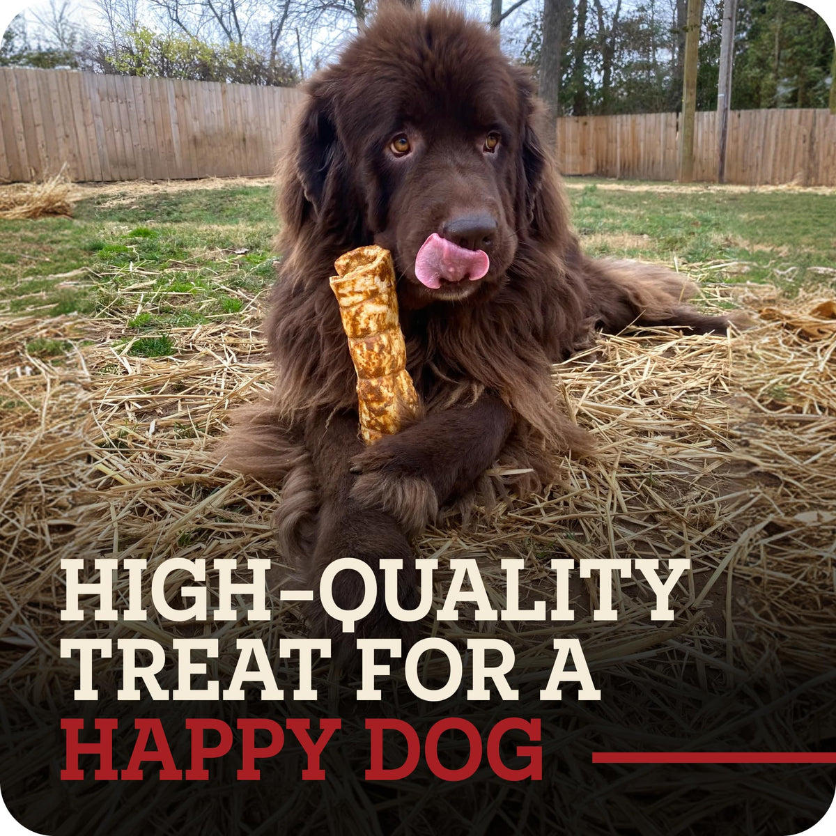 Redbarn Large Beef Cheek Rolls, Chicken & Carrot Flavor Dog Chew, 4 Pack