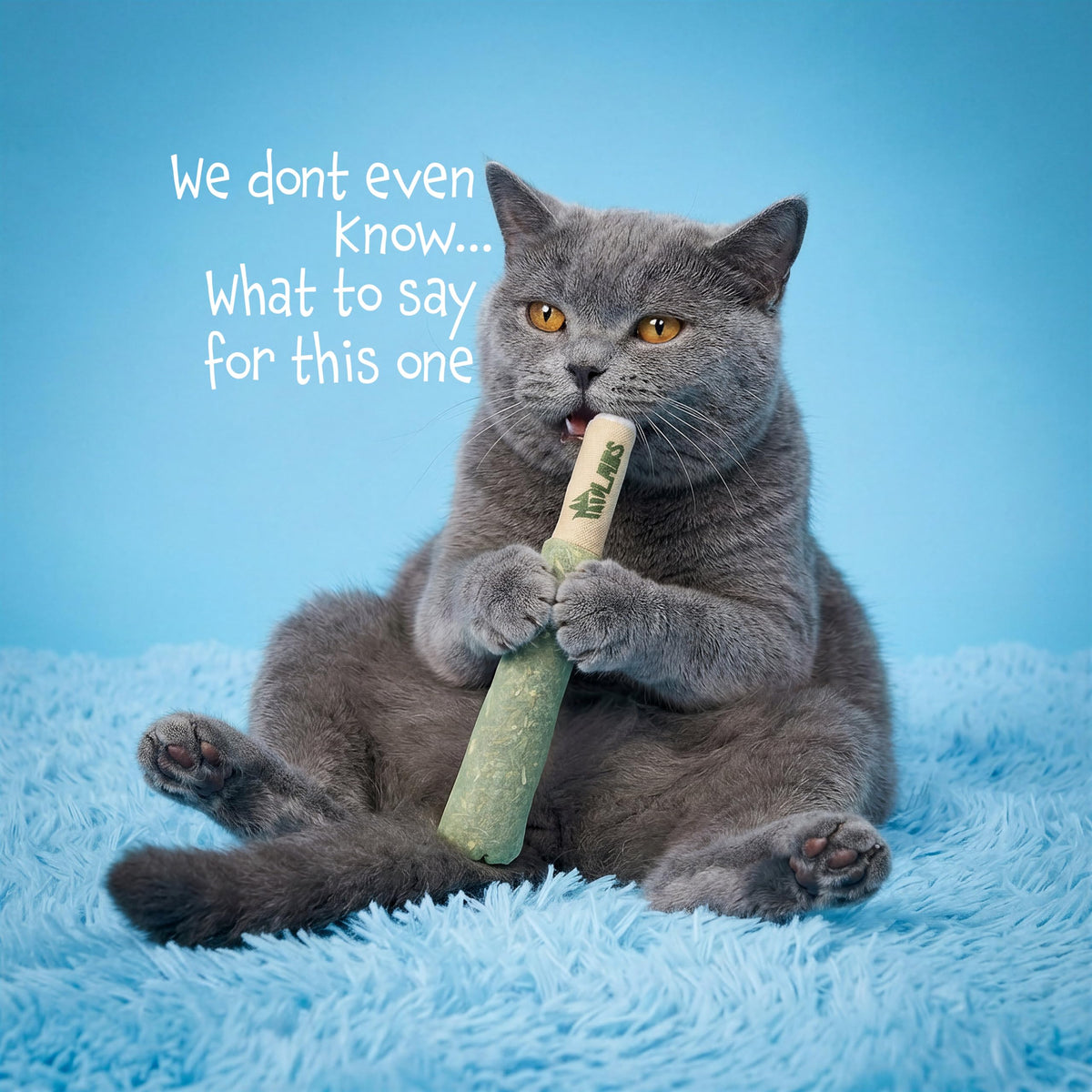 LIT LABS Cat Doobie 3 Pack Catnip Toys for Cats, Funny Cat Toys, Safe Kitten Teething Chew and Kicker Toys, Stress-Relieving Indoor Cat Gifts that Hit Different