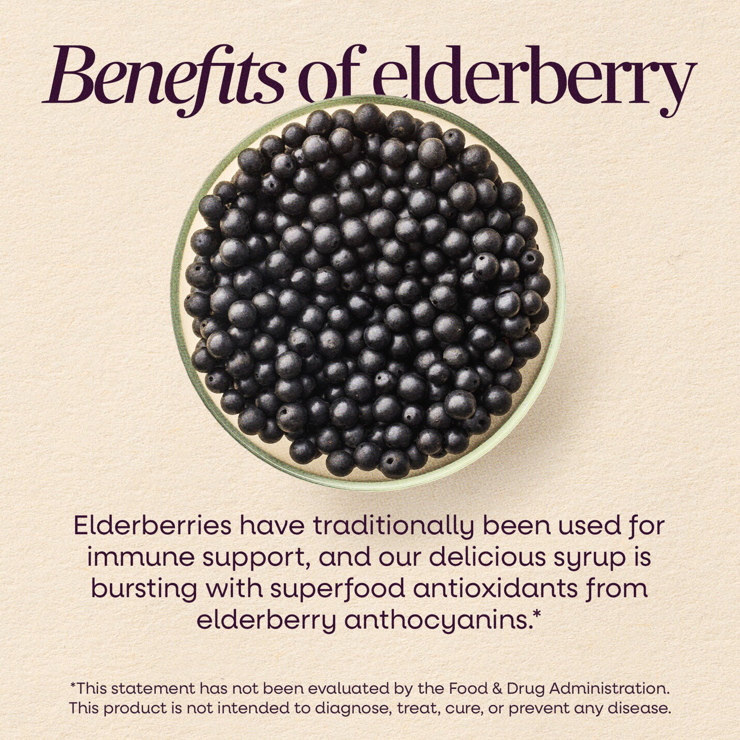 Nature's Way Sambucus Traditional Elderberry Immune Support* Syrup, 4 fl oz | Traditional Immune Support* with Highly Concentrated Black Elderberry Extract & Superfood Antioxidants, Adults & Kids 7+