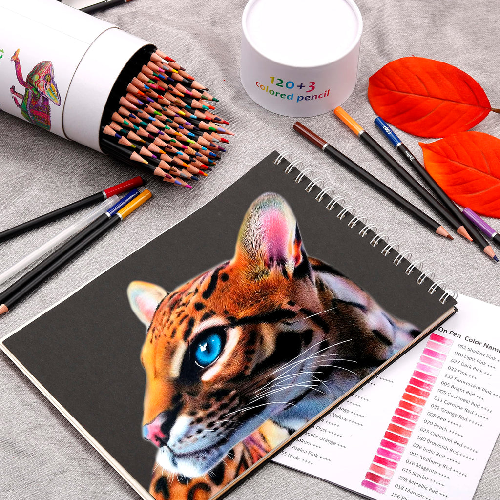 KALOUR Premium Colored Pencils,Set of 120 Colors,Artists Soft Core with Vibrant Color,Ideal for Drawing Sketching Shading,Coloring Pencils for Adults Beginners