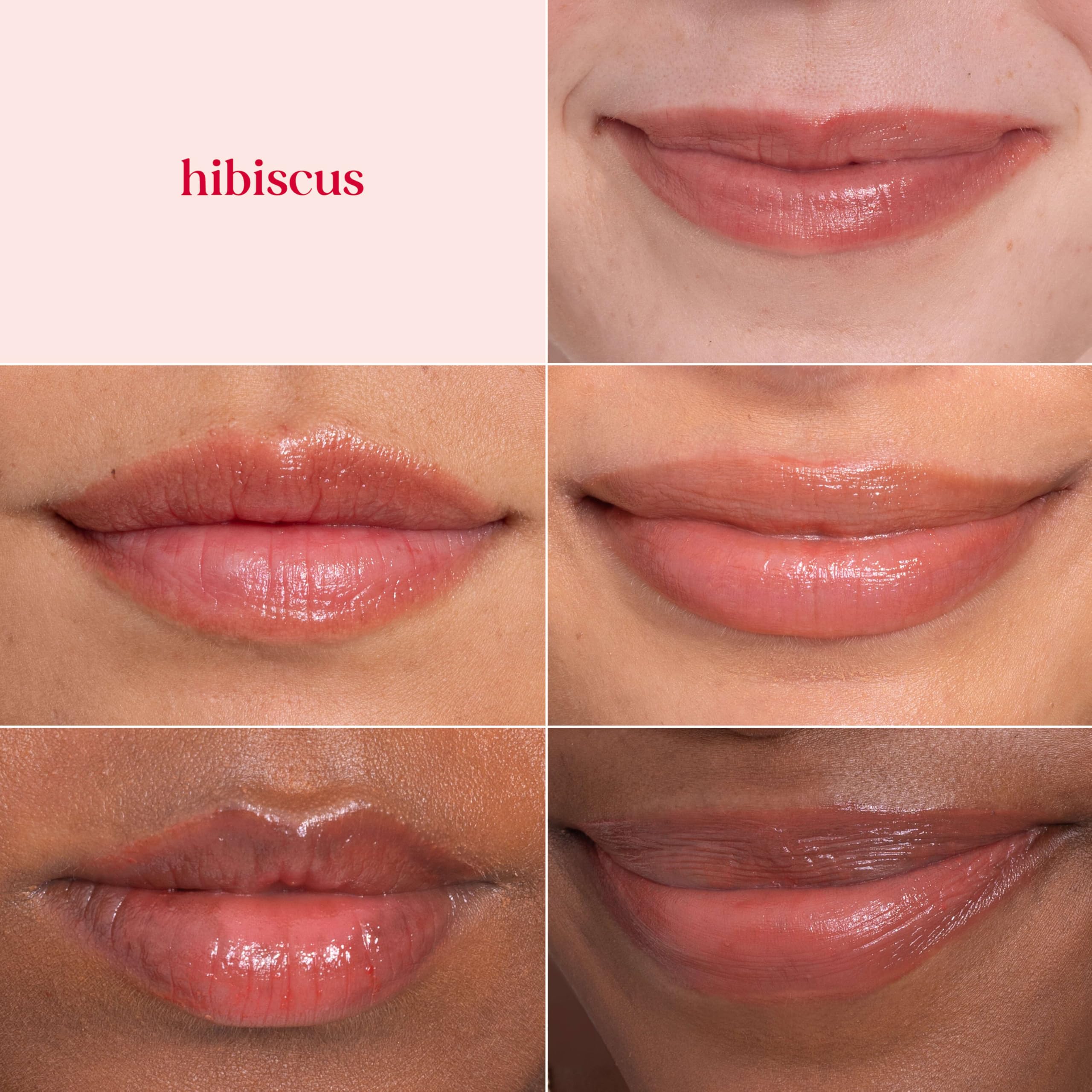 Buy now Burt's Bees Lip Tint Balm, Long Lasting 2 in 1 Duo Tinted Balm Formula, Color Infused with Hydrating Shea Butter for a Natural Looking Buildable Finish, Hibiscus, 1 Tube at indiglob india