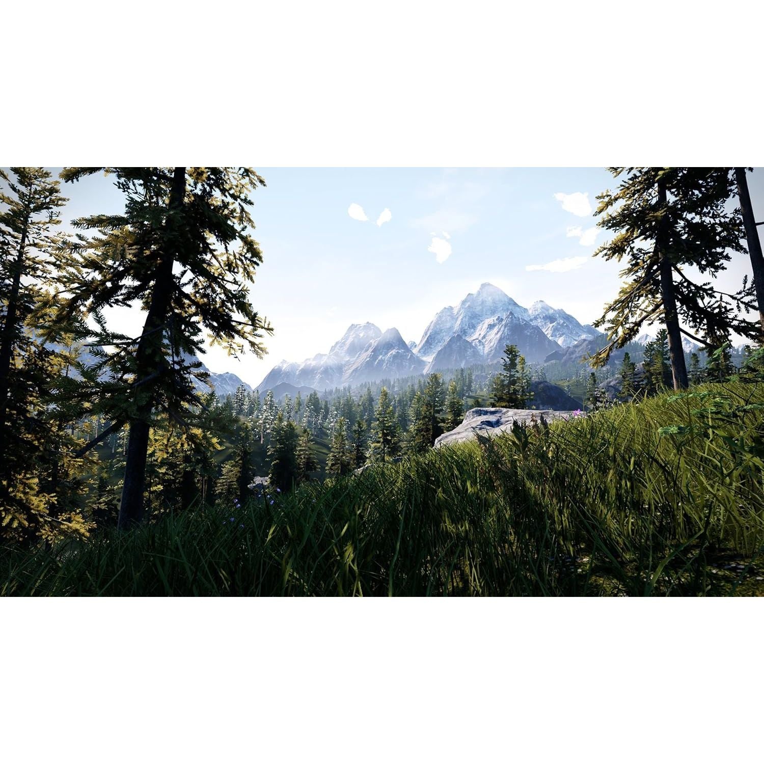 Buy now Hunting Simulator - Nintendo Switch at indiglob india