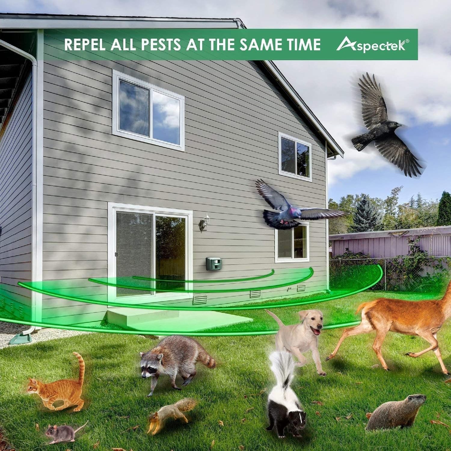 Buy now ASPECTEK Yard Sentinel Outdoor Ultrasonic Animal Repeller with Motion Sensor, Adjustable Volume, Waterproof, Extension Cord, Powerful Repel for Squirrel, Raccoon, Skunk, Rabbit, Fox, Deer, Etc at indiglob india