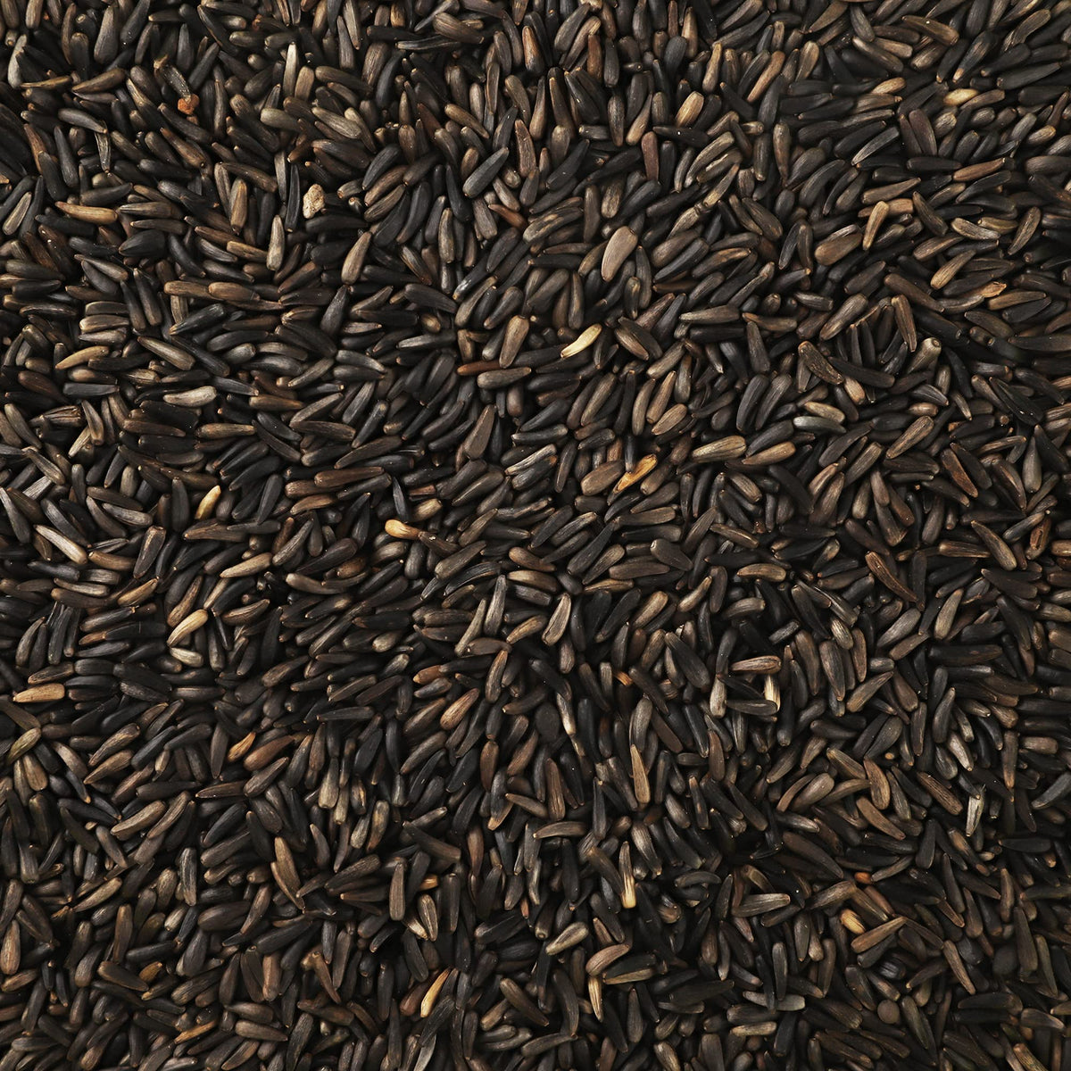 Happy Wings 5LB Thistle Seed Bird Food, 100% Natural, Extra Clean, No Grow
