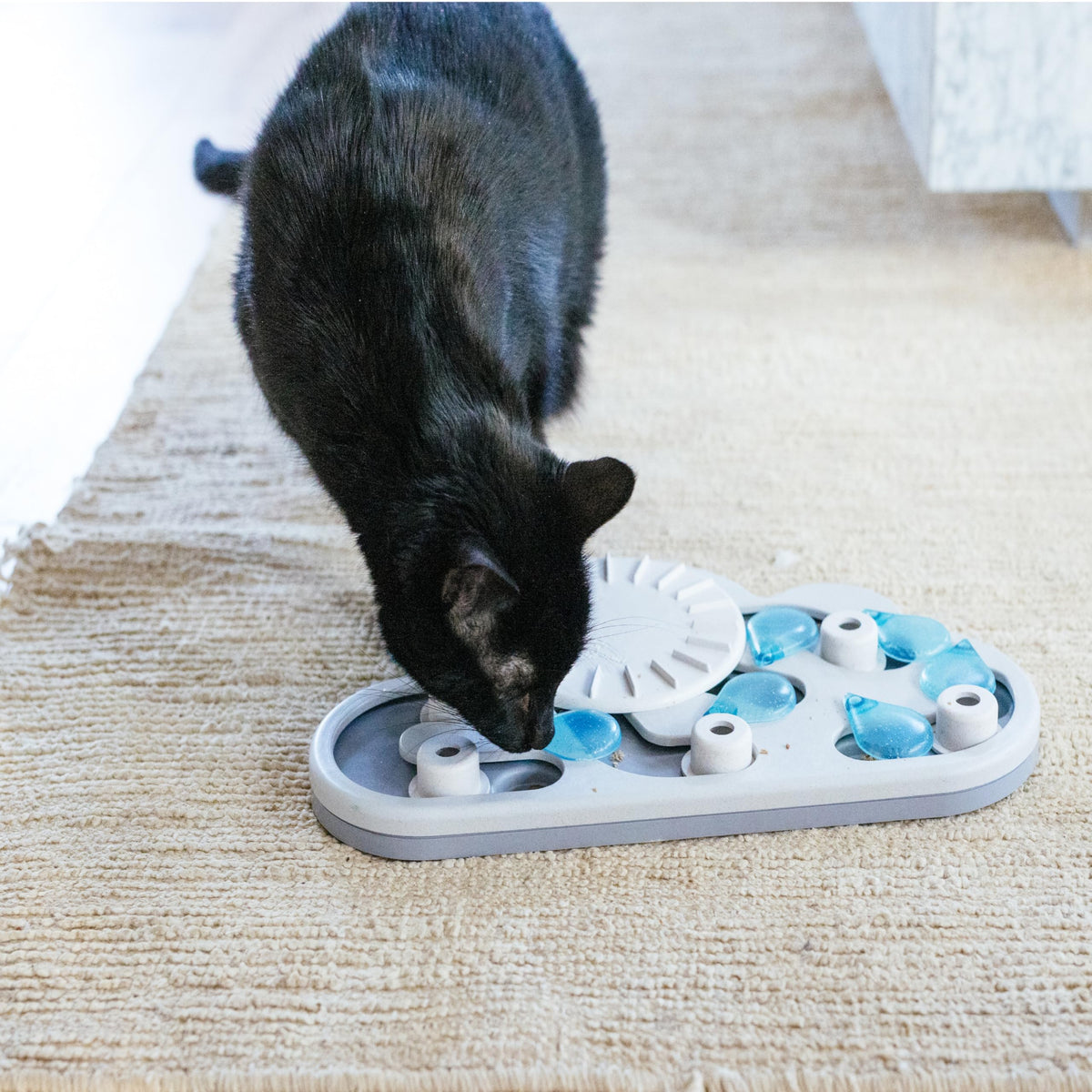 Catstages Nina Ottosson Rainy Day Puzzle & Play Cat Toy Treat Puzzle, 14"