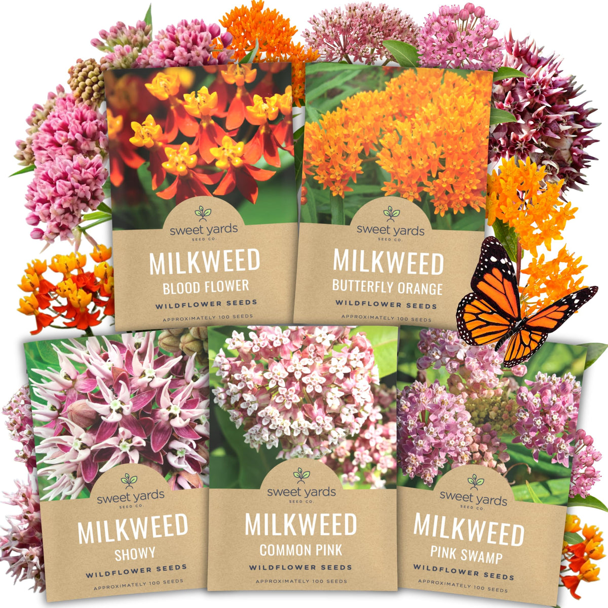 Milkweed Seed Variety Pack | 5 Individual Packs - 2026 Season - Showy, Pink Swamp, Butterfly Orange, Common Pink, Blood Flower | for Planting | by Sweet Yards