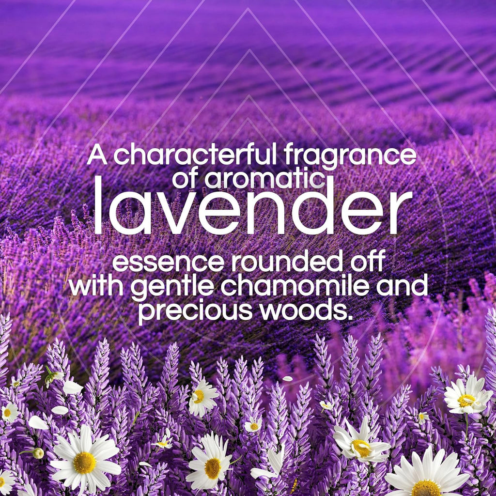 Buy now Air Wick Scented Oils 0+5 Lavender & Chamomile at indiglob india