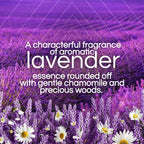 Buy now Air Wick Scented Oils 0+5 Lavender & Chamomile at indiglob india