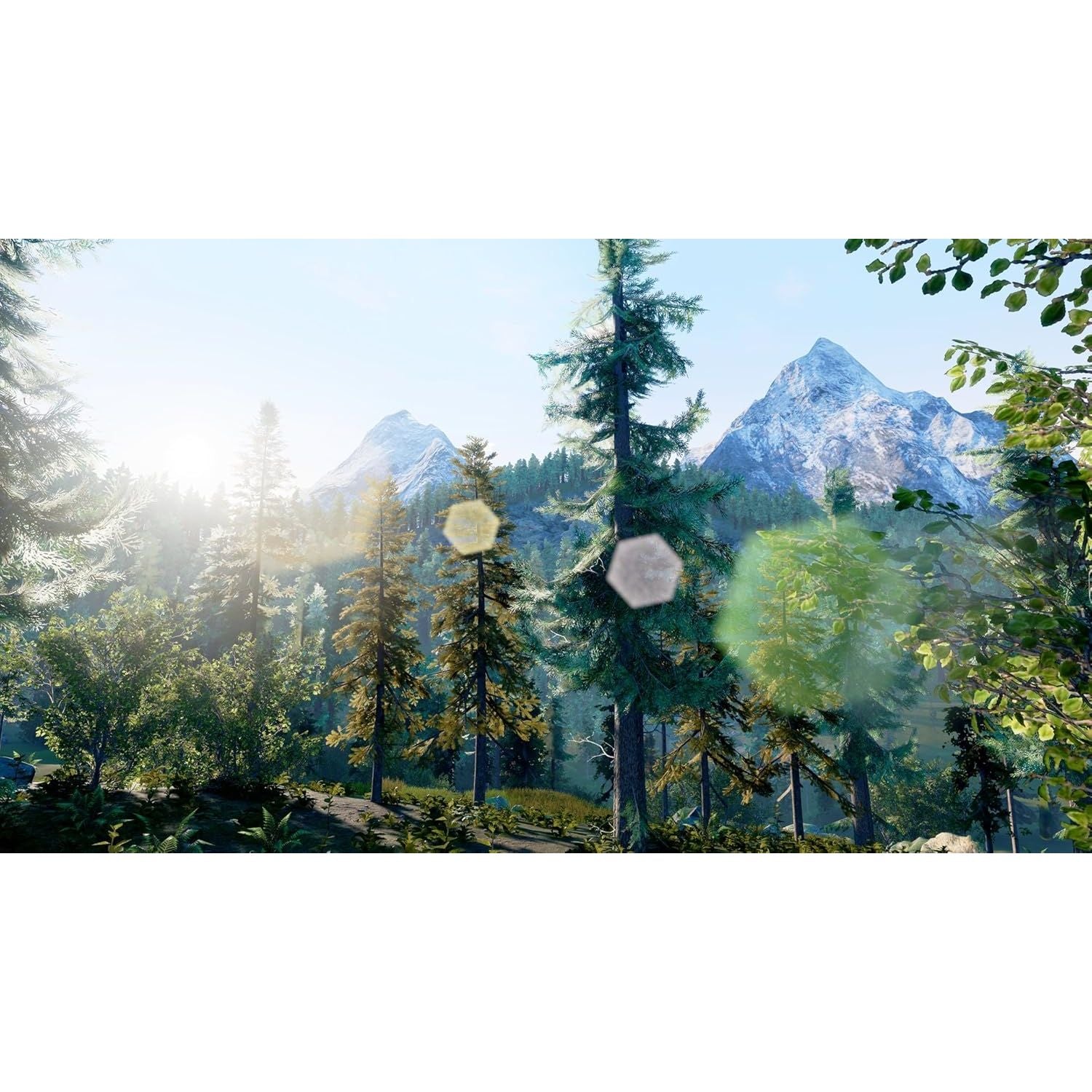 Buy now Hunting Simulator - Nintendo Switch at indiglob india