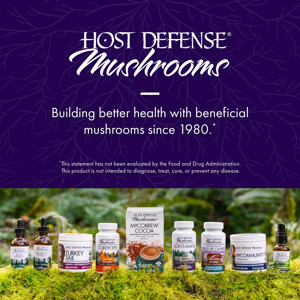 Host Defense MycoBotanicals Brain Support, 60 Capsules | Brain Support, Lion's Mane, Reishi and Cordyceps Mushroom, Herbal Supplement for Mental Clarity, Memory, and Focus Support