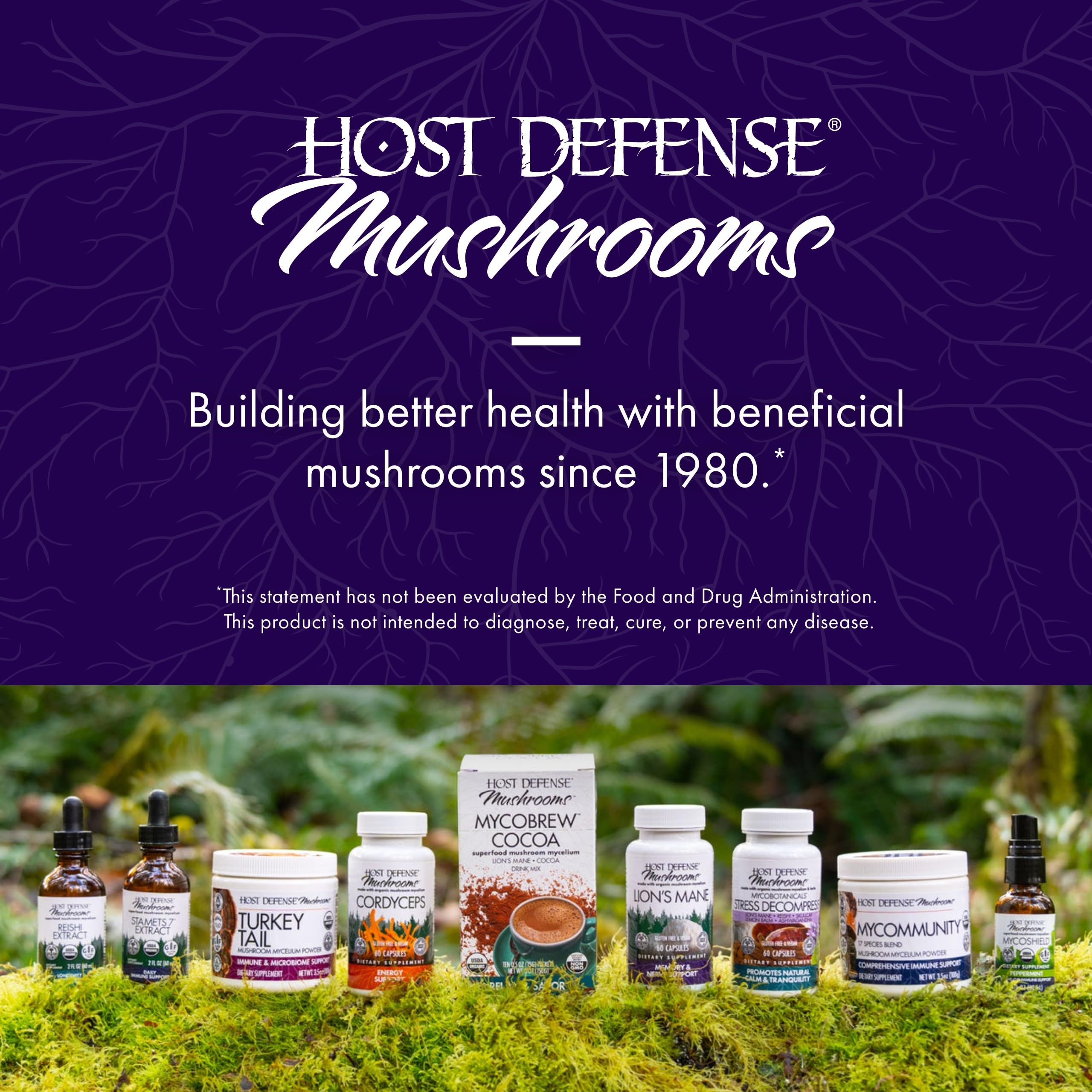 Host Defense MycoBotanicals Brain Support, 60 Capsules | Brain Support, Lion's Mane, Reishi and Cordyceps Mushroom, Herbal Supplement for Mental Clarity, Memory, and Focus Support