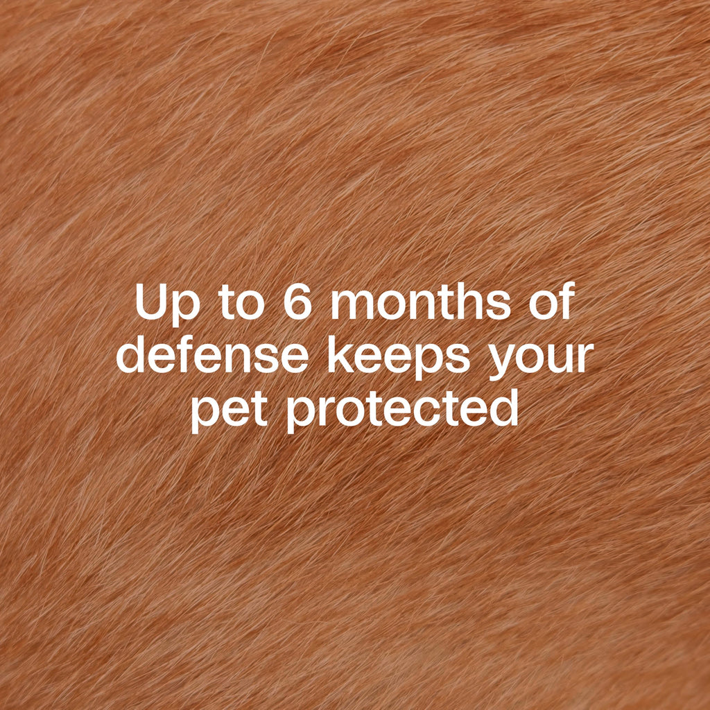 ADAMS Flea & Tick Collar for Dogs & Puppies, Flea Collar for 12 Month Prevention, Kills Fleas, Ticks & Repels Mosquitoes, Excluding California, One Size Fits All Dogs & Puppies, 2 Count