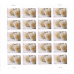 USPS 575900 Series Wedding Roses Commemorative Stamp Scott 4520 Sheet of 20 Forever Stamps